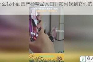 为什么找不到国产秘精品入口？如何找到它们的入口？
