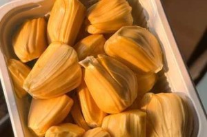 菠萝菠萝蜜视频：如何解决视频卡顿问题？