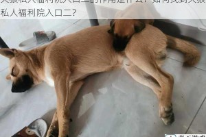 天狼私人福利院入口二的作用是什么？如何找到天狼私人福利院入口二？