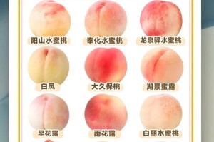 为什么精品蜜桃秘一区二区三区如此受欢迎？如何找到最好的蜜桃资源？怎样才能进入精品蜜桃的三区？