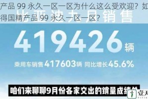 国精产品 99 永久一区一区为什么这么受欢迎？如何才能获得国精产品 99 永久一区一区？