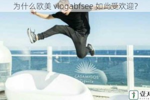 为什么欧美 vlogabfsee 如此受欢迎？