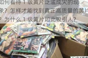 如何看待 1 级黄片泛滥成灾的现象？怎样才能找到真正高质量的黄片？为什么 1 级黄片如此吸引人？