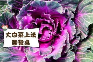 为什么法国会有粉红大白菜？如何种植粉红大白菜（法国）？粉红大白菜（法国）的营养价值怎样？