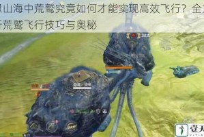 妄想山海中荒鹫究竟如何才能实现高效飞行？全方位解析荒鹫飞行技巧与奥秘