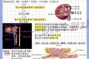 体内 Free 性 ZoZ0ZC 交是怎样代谢的？