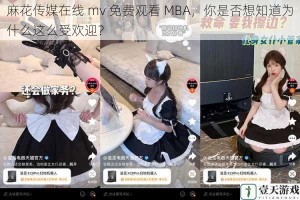 麻花传媒在线 mv 免费观看 MBA，你是否想知道为什么这么受欢迎？