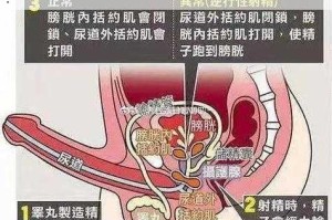 为什么男人的鸡能桶进女人的屁且无遮挡？