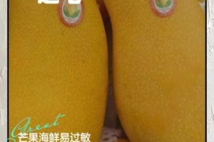 为什么芒果视频会污？如何避免芒果视频污？