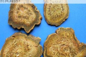 中国一级特色大黄为什么如此珍贵？如何鉴别其真伪？