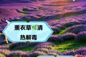 薰衣草免费实验室 2023 下载手机版- 如何获取？有何风险？