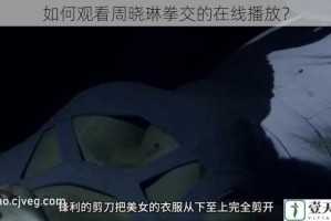 如何观看周晓琳拳交的在线播放？