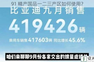 91 精产国品一二三产区如何使用？