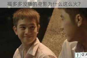 福多多没播的电影为什么这么火？
