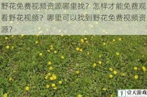 野花免费视频资源哪里找？怎样才能免费观看野花视频？哪里可以找到野花免费视频资源？