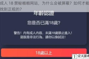 成人 18 禁秘啪啪网站，为什么会被屏蔽？如何才能找到正规的？