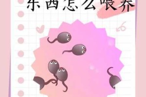 小蝌蚪视频污污？如何解决视频播放卡顿问题？