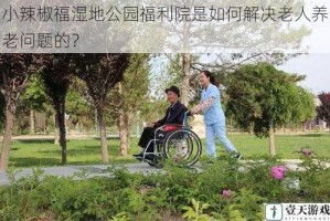 小辣椒福湿地公园福利院是如何解决老人养老问题的？