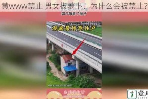 黄www禁止 男女拔萝卜，为什么会被禁止？