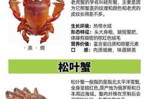 鬼谷八荒洪荒模式大蟹详细打法攻略大揭秘