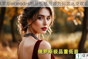 俄罗斯videodes极品视频资源为何如此受欢迎？