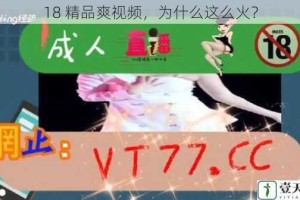 18 精品爽视频，为什么这么火？