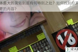 日本最大的黄站到底有何特别之处？如何找到你真正需要的内容？