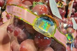 新京葡萄威尼斯高清视频为什么这么受欢迎？
