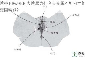 大陰蒂 BBwBBB 大陰唇为什么会变黑？如何才能让它变回粉嫩？