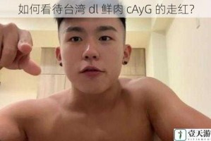 如何看待台湾 dl 鲜肉 cAyG 的走红？