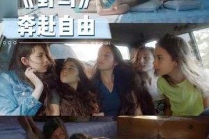 《野马免费在线观看：为什么找不到资源？如何解决？》