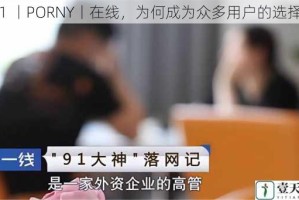 91 丨PORNY丨在线，为何成为众多用户的选择？