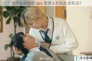 为什么中国的 gey 男男 k 片如此受欢迎？