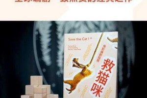 猫之城返利规则全面解析及获取方式详细指南