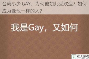 台湾小少 GAY：为何他如此受欢迎？如何成为像他一样的人？