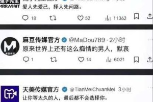 董小宛天美麻豆 91 为何备受关注？如何找到相关资源？