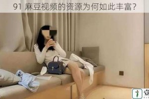 91 麻豆视频的资源为何如此丰富？