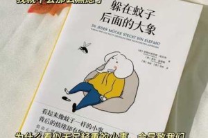 为什么大象 2029 新矛盾需要直达高清？如何解决？