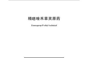 为什么国精产品成品人人入口找不到？如何找到国精产品成品人人入口？