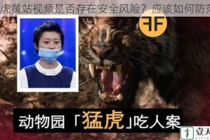 猛虎黄站视频是否存在安全风险？应该如何防范？