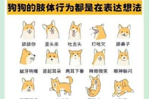 如何在 dom 圈给小狗发任务微博？