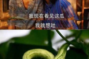 吃瓜有理爆料无罪回家的路