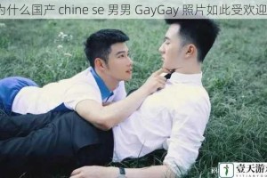 为什么国产 chine se 男男 GayGay 照片如此受欢迎？