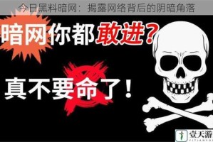 今日黑料暗网：揭露网络背后的阴暗角落