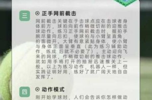 冠军网球球员养成终极指南：从新手到冠军的全面训练技巧与实战策略解析
