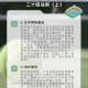 冠军网球球员养成终极指南：从新手到冠军的全面训练技巧与实战策略解析