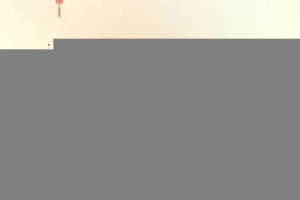 决斗学院双开神器大揭秘，轻松一键搞定决斗学院挂机双开事宜