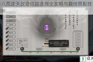 鬼谷八荒逆天改命结晶选择全攻略与最佳搭配技巧深度解析