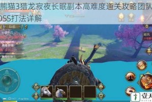 太极熊猫3猎龙寂夜长眠副本高难度通关攻略团队配合与BOSS打法详解
