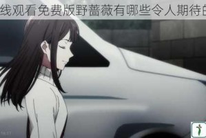 糖豆在线观看免费版野蔷薇有哪些令人期待的地方？
